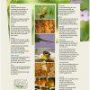 Panneau 7 - Les produits de la ruche